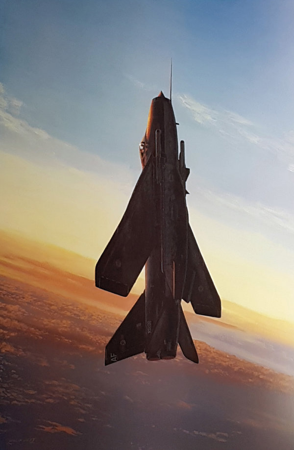 Supersonic Thoroughbred